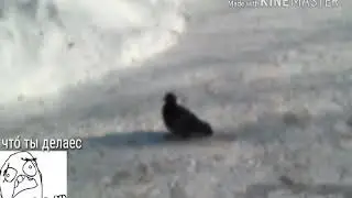 Надо поле притоптать