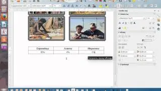 2 5 6p lo writer project2