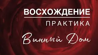 ❤️‍🔥 ВИННЫЙ ДОМ Радости - Корпоративное Восхождение - 1