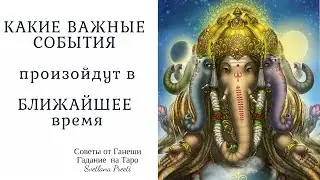 #ПРЕДСКАЗАНИЕ