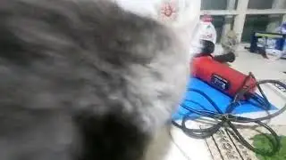 Как достать шумного соседа?!