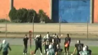 Rhinos 2009