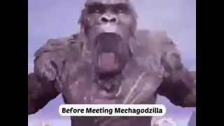 kong and Godzilla 😂😂😂
