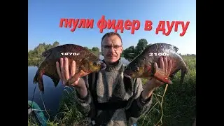 В ЭТОМ РУЧЬЕ ОГРОМНЫЕ ЛЕЩИ!!!!!рыбалка с ночевкой фидер на реке