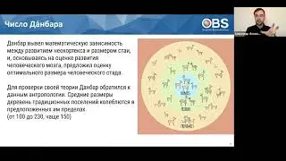 Лидер и племя. Практики развития команд. Александр Лозовский