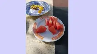 дегустация семья