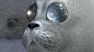 Seal Egg