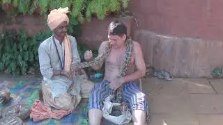 Гоа, змеи. Супер видео! Смотреть всем!)))