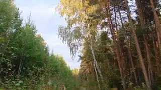 9.09.2024 Аномальная зона и мы