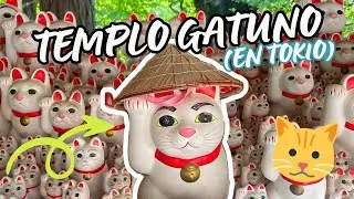 Templo de los Gatos de la Suerte en Tokio