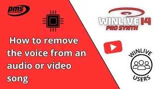 WINLIVE PRO SYNTH 14:  WINLIVE AI eliminare la voce da un brano audio o video (by winlive users)