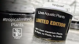 Introducing Tropica Limited Edition Aquarium Plants for EU countries