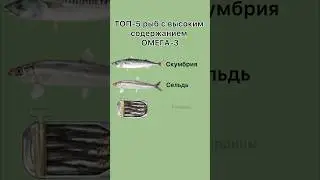 Почему в Форели  из магазина мало омега-3 и как выбрать правильный источник жирных кислот?
