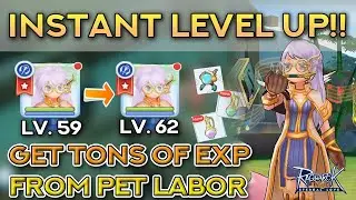 RAGNAROK INSTANT LEVEL UP!! Get EXP From Pet Labor | Ragnarok Mobile Eternal Love