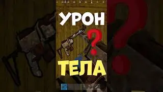 Известные факты об уроне БЕРДАНКИ в РАСТ #rust #раст #шортс #shorts
