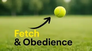 Using fetch to motivate obedience