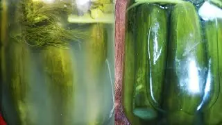 Тузлаган Бодиринг нега оқариб кетади?энди нима қиламиз???