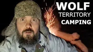 winter camping in wolf territory