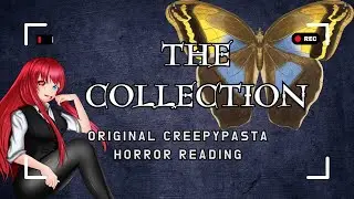 The Collection [scary story][original creepypasta][Rain ASMR][Halloween]