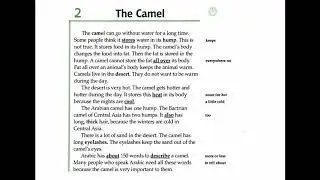 Facts and Figures - Unit 1: Animals -  Lesson 2:  The Camel