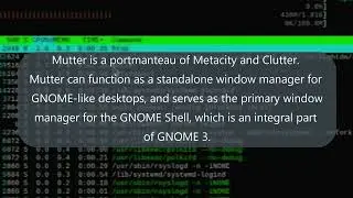 Raspberry Pi OS 