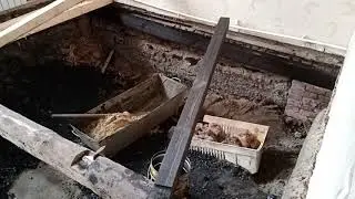 Полы на Тургеньева