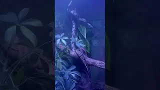 My solo date to Malta National Aquarium