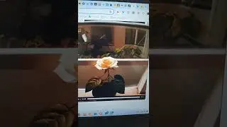 Rewolucja w tworzeniu wideo - odkryj moc nowego narzędzia! #arturjanas