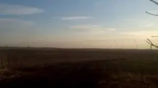 Гуси 2017