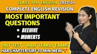 CBSE Class 9 English | Most Important Questions | Moments & Beehive | Half Yearly Exam | Taniya mam