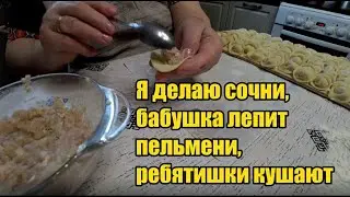 Чипсы из Светофора. Стряпаем пельмени. Пылесос заработал. За колбасой и сосисками.