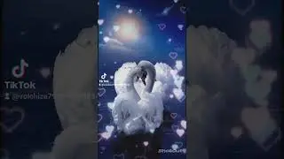 любовь