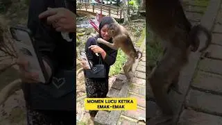 momen lucu ketika emak-emak foto bersama monyet ganjen ‼️ 