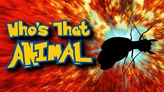 Who's That Animal?! (ep. 11) Animal Guessing Game | Animal Fact Files