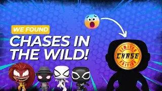 We Found Funko Chases In The Wild! (Funko Pop Hunting)