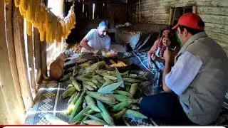 HAYIRLI CUMALAR  MISIR 🌽 FASULYE  PATATES 🍠 KÖYDE YAŞAM  YENİ BİR GÜNE HOŞ GELDİNİZ