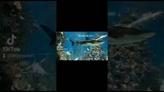 Ты красивая,  стихи  #стихи #поэзия #сосмыслом