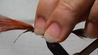 Damsel