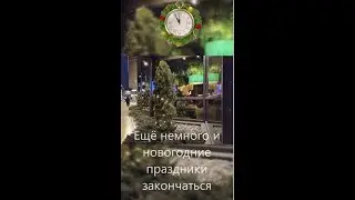 Shorts А у нас выпал снег