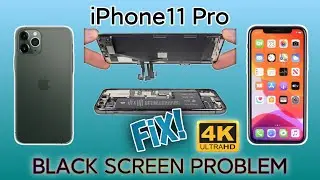 iPhone11 Pro BLACK SCREEN/NO DISPLAY FIX!!!