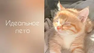 Идеальное лето | саблиминал #саблиминал #аффирмации