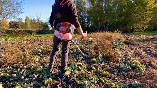 Тест мотокоси Husqvarna 331R‼️Готую город до зими❌