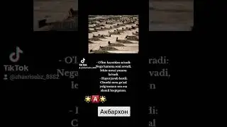 26 мая 2024 г.