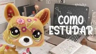 DICAS PARA ESTUDAR 📌