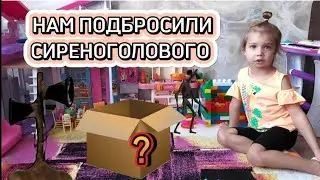 СИРЕНОГОЛОВЫЙ В КОРОБКЕ | СИРЕНОГОЛОВЫЙ КУПАЕТСЯ В ДУШЕ | СЫН СИРЕНОГОЛОВОГО СПИТ У НАС ДОМА