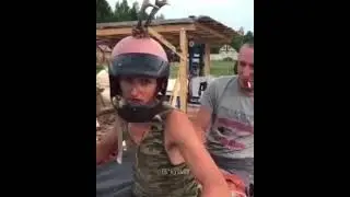 Они всё ещё живы🤣