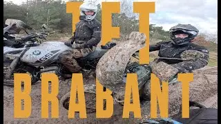 TET BRABOLAND