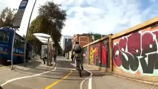 dia sin carro 2017