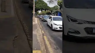 transplante de órgãos Maringá (3)