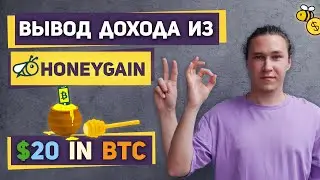 HoneyGain платит! Вывод дохода из HoneyGain. Пополнение Amir Capital